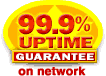 Web Hosting - Ninety-nine percent uptime guarantee on network!